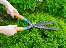 Kwikfynd Garden Maintenance
carrollscreek