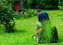Kwikfynd Lawn Mowing
carrollscreek